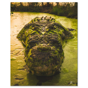Captured on a golden Northern Territory afternoon in 2015, there was only my camera and mere inches between us as I crept closer and closer, stopping face to face with 'Tripod', a seventeen foot three-legged saltwater crocodile.